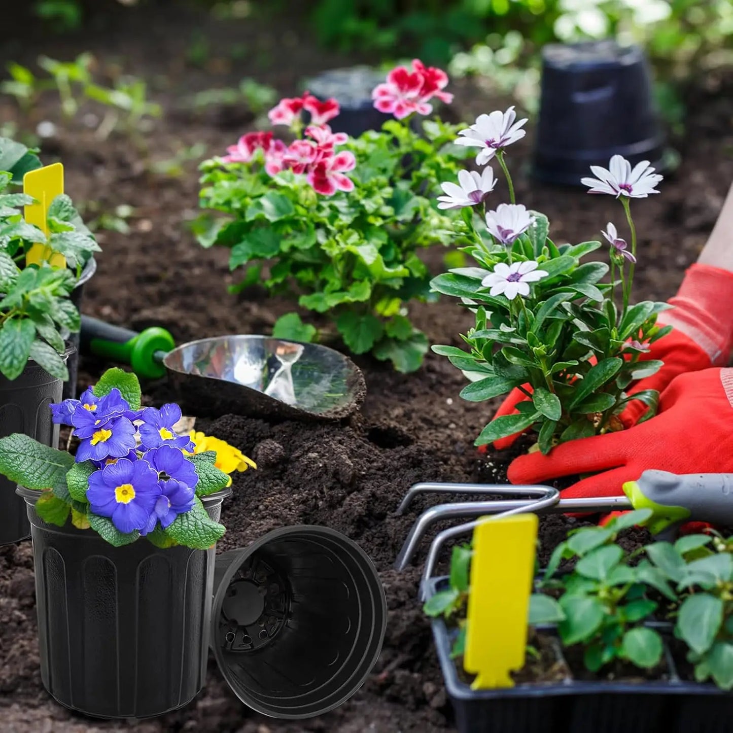 Plant Nursery Pots With Drainage Holes Pack For Seedlings And Transplants