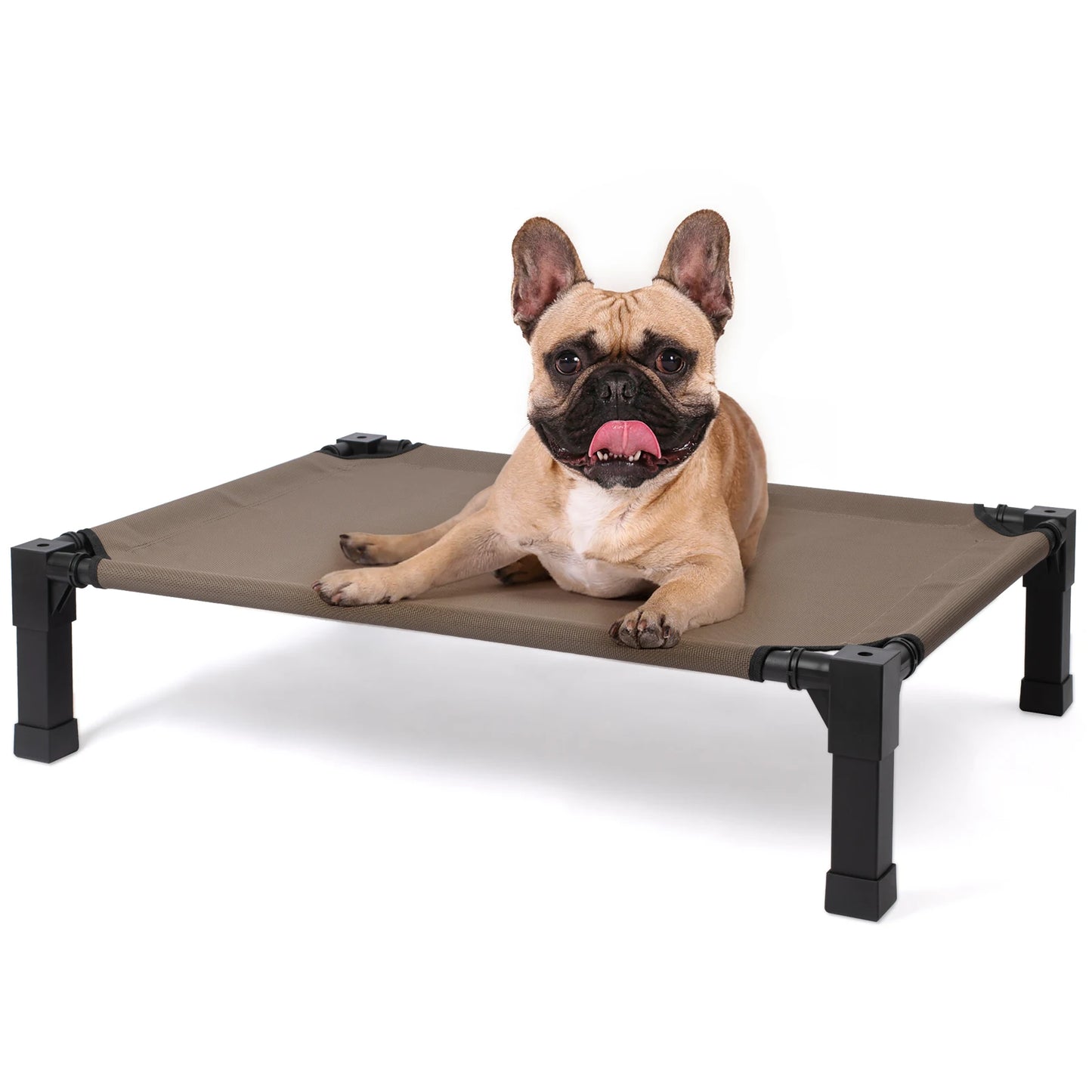 Elevated Dog Bed With Cooling Raised Pet Cot Mesh Frame