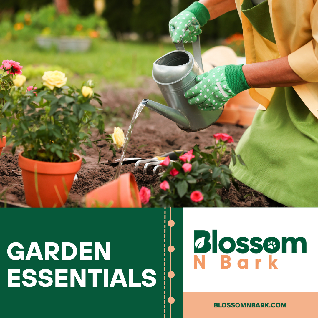 Grow Something Beautiful: How the Right Garden Essentials Transform Your Outdoor Space