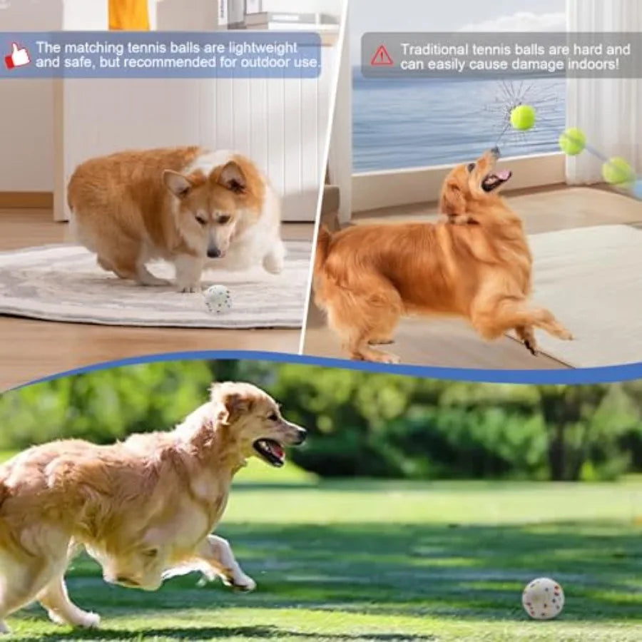 Automatic Dog Ball Launcher With Remote Control 40 60 80