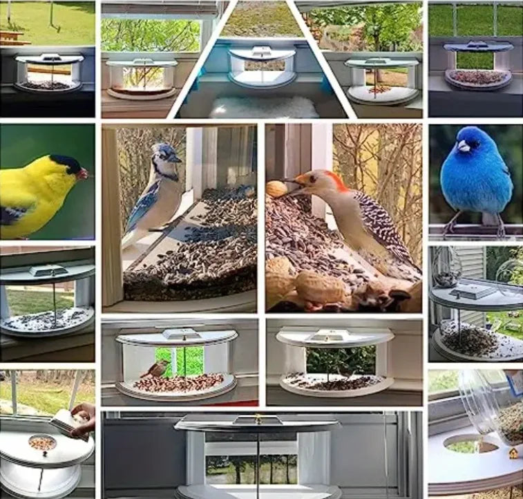 Window Bird Feeder With Clear View Tray For Recessed Windows