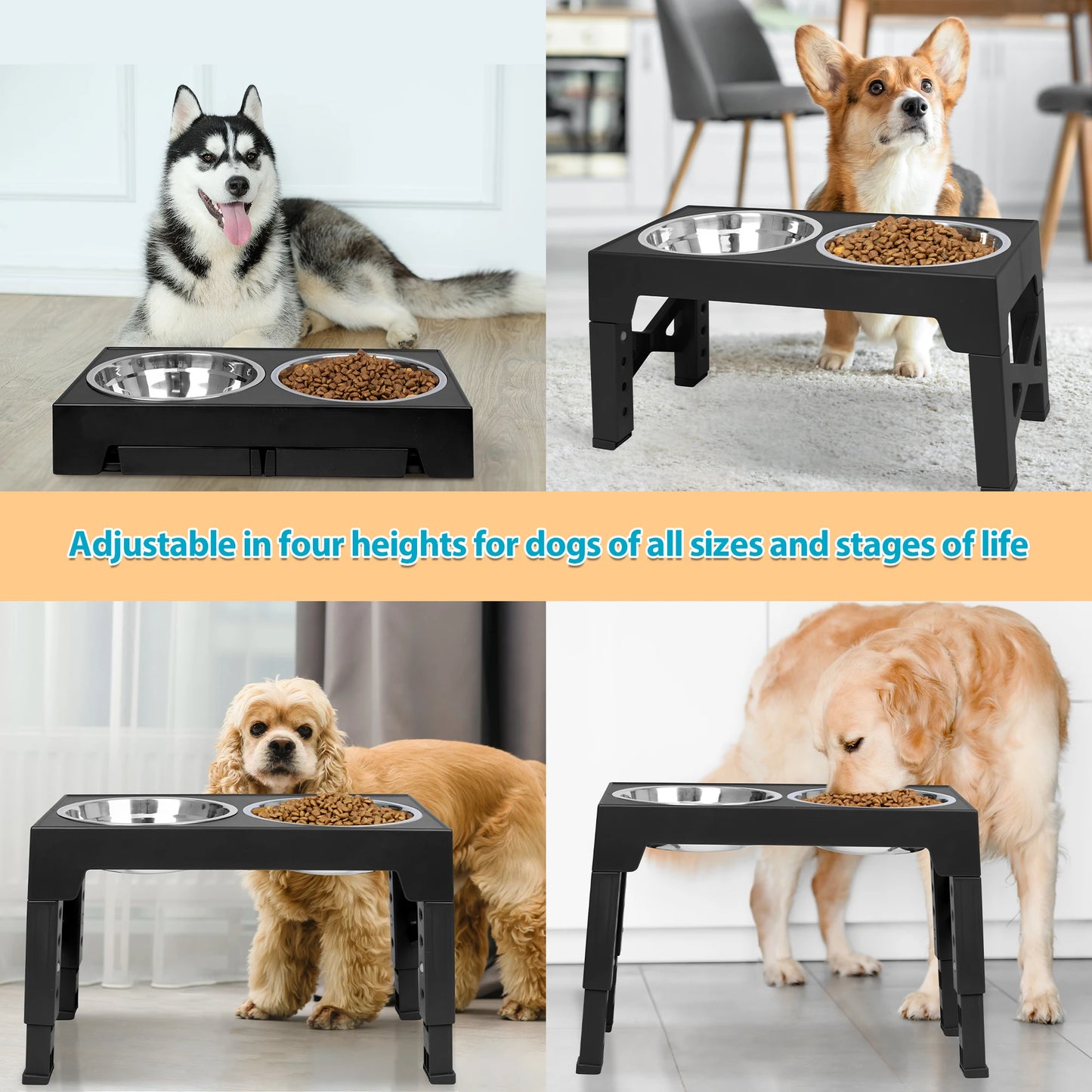 Elevated Dog Bowls With Two Stainless Steel Bowls And Stand