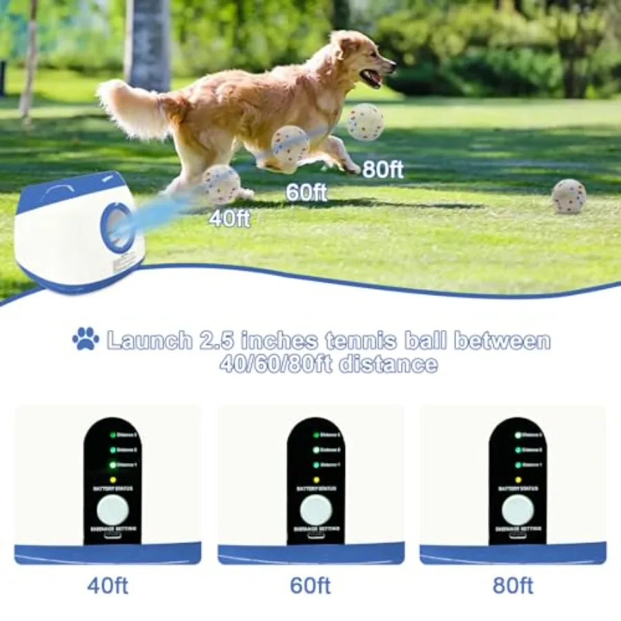 Automatic Dog Ball Launcher With Remote Control 40 60 80