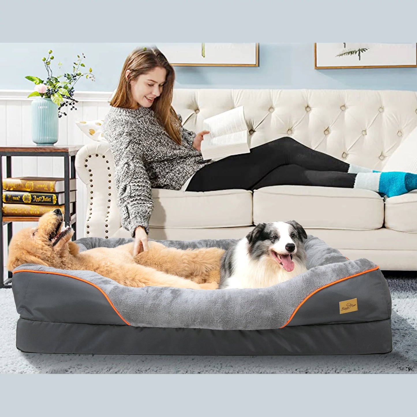 BINGOPAWCN Dog Bed With Washable Removable Cover Anti Allergy Waterproof