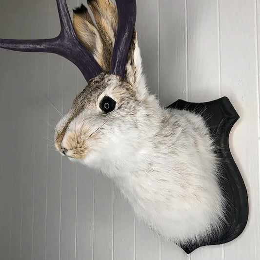 Resin Bunny Head Antlers Wall Decor Jackalope Ornament