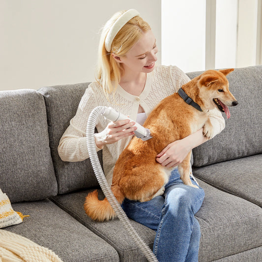 Pet Grooming Vacuum Kit With 3 Suction Modes Cordless Clippers