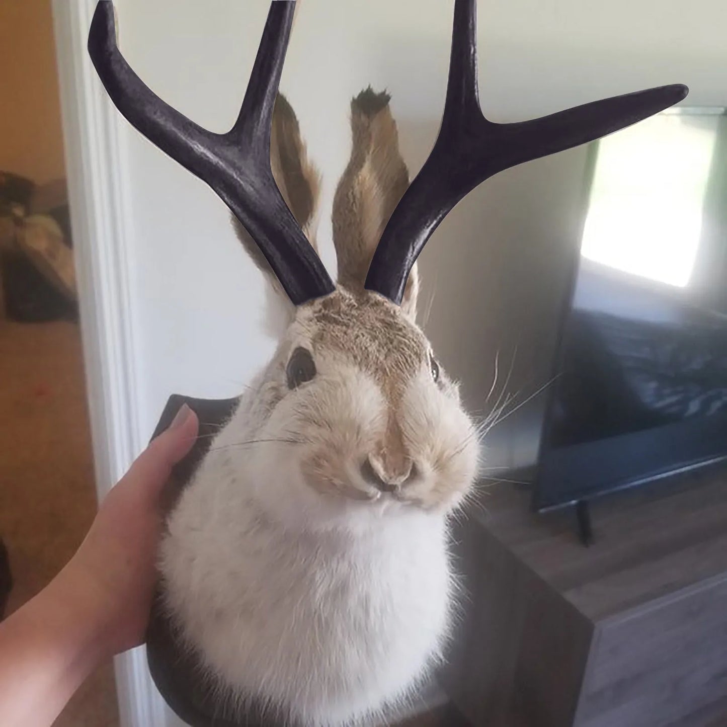 Resin Bunny Head Antlers Wall Decor Jackalope Ornament