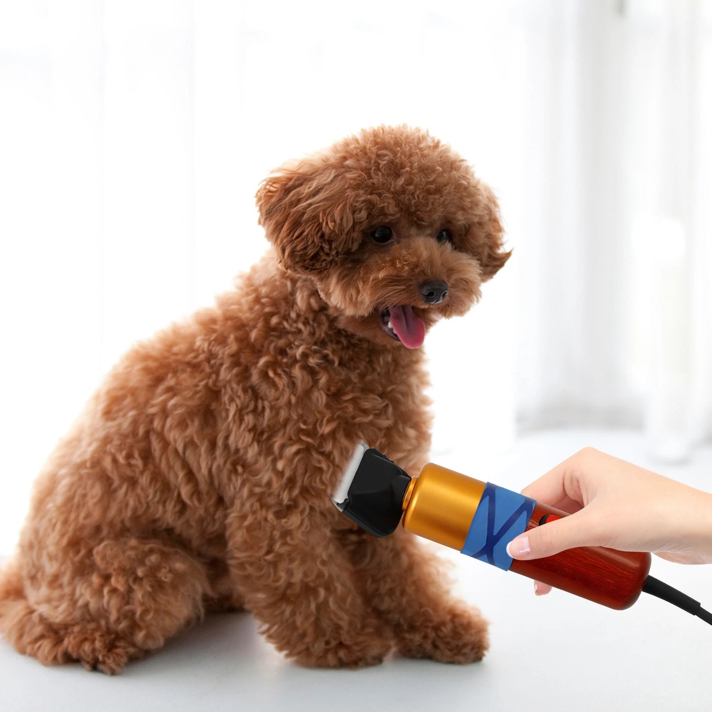 Low Noise Pet Hair Clipper With High Efficiency Motor