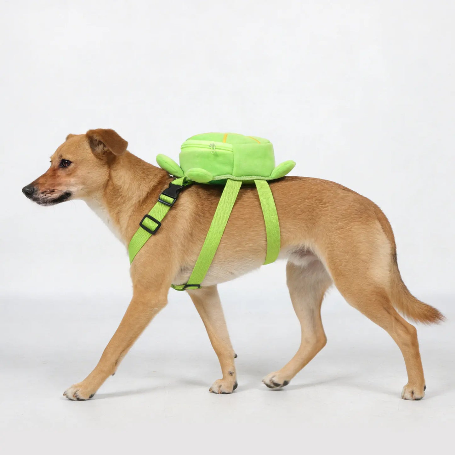 Turtle Shape Dog Backpack Harness For Small Breeds Travel Carrier