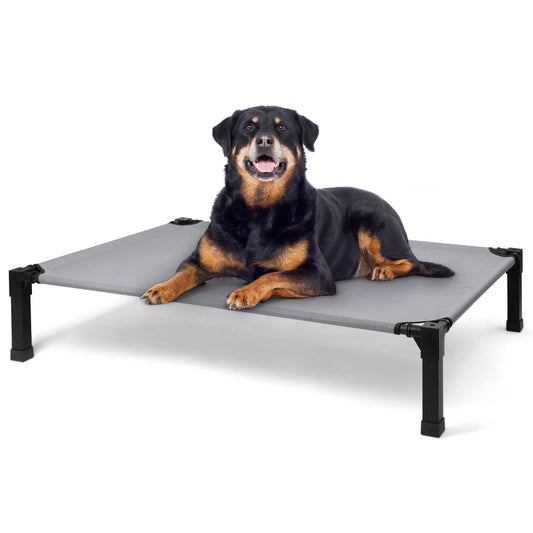 Elevated Dog Bed With Cooling Raised Pet Cot Mesh Frame