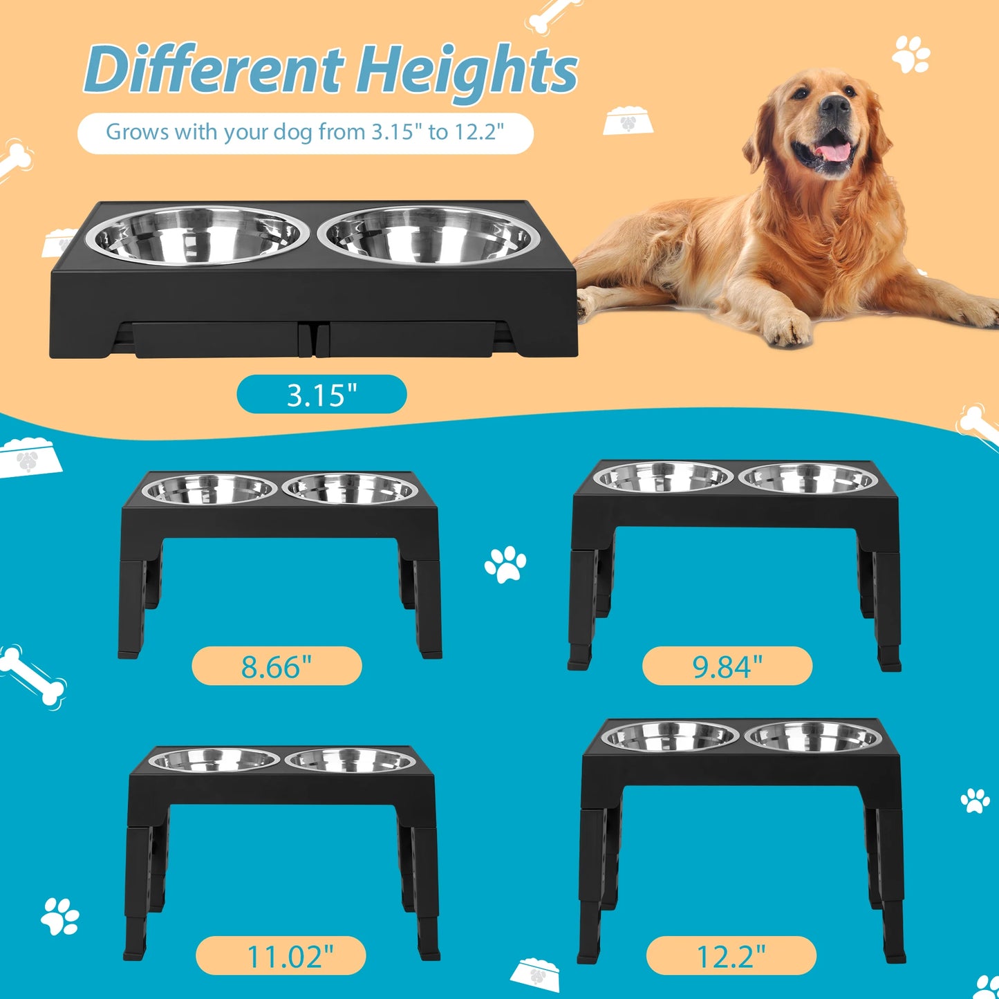 Elevated Dog Bowls With Two Stainless Steel Bowls And Stand