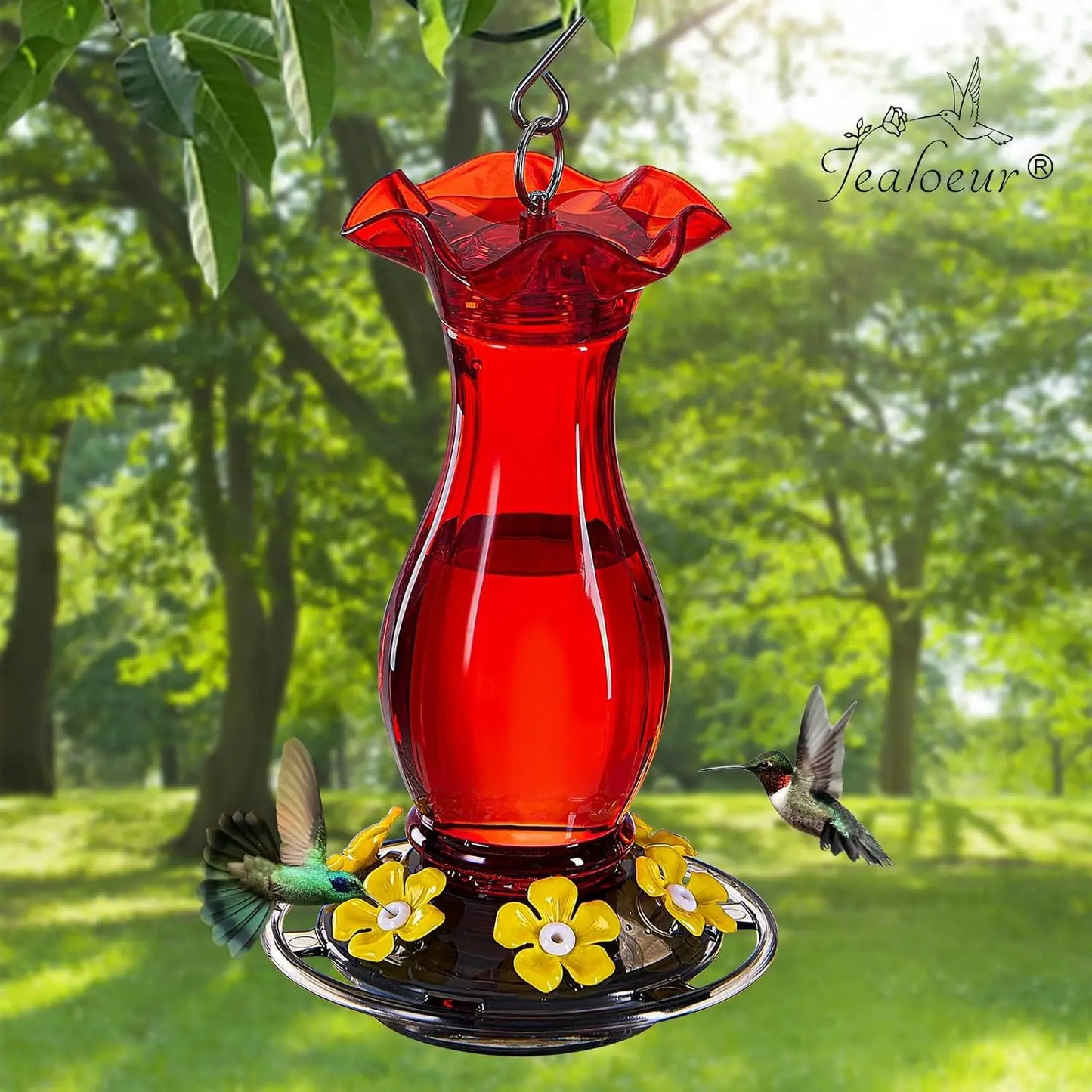 Hummingbird Feeder Hanging With Bee Guard Ports And Ant Moat