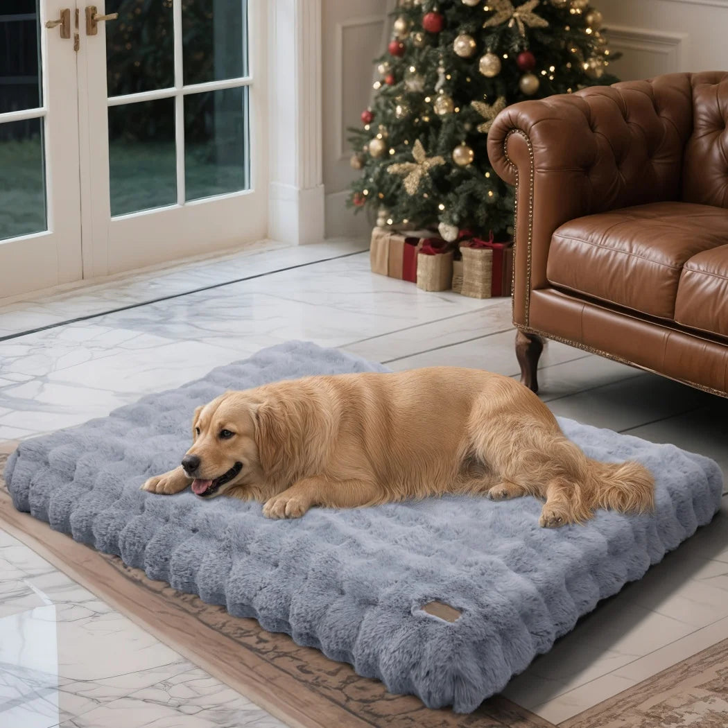 BORWART Ultra Plush Dog Bed Soft Cushion Washable Mat