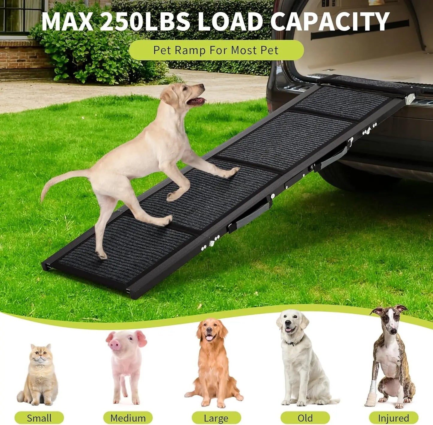 HiMISSDog Car Ramp For Dogs Folding Pet Steps SUV Truck