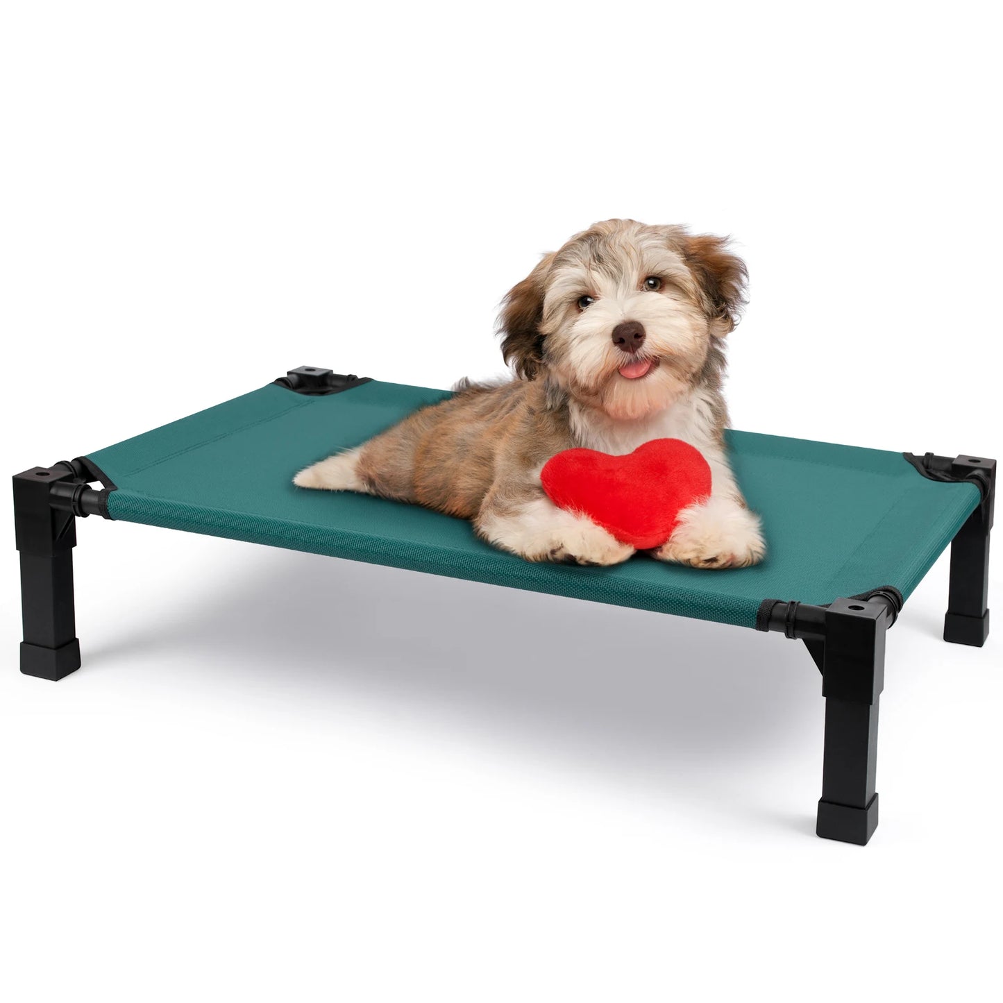 Elevated Dog Bed With Cooling Raised Pet Cot Mesh Frame
