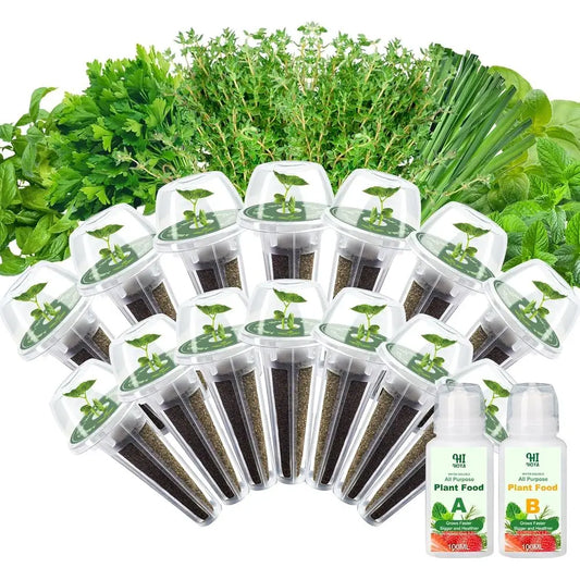 Hydroponic Herb Seed Starter Kit Basil Parsley Thyme Mint Chive