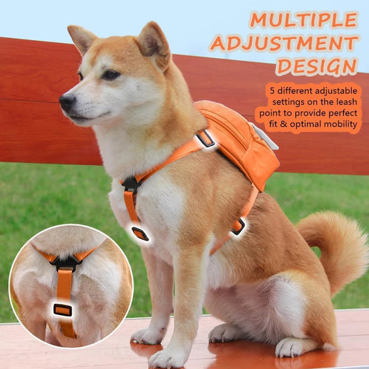 Adjustable Pet Backpack With Harness Leash Travel Treat Pouch