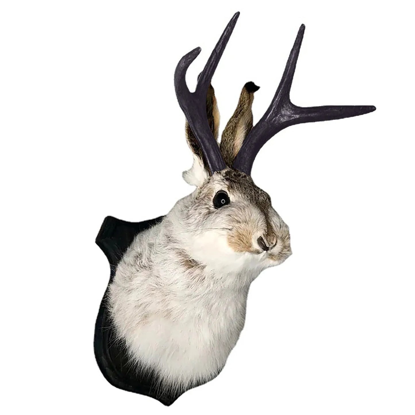 Resin Bunny Head Antlers Wall Decor Jackalope Ornament