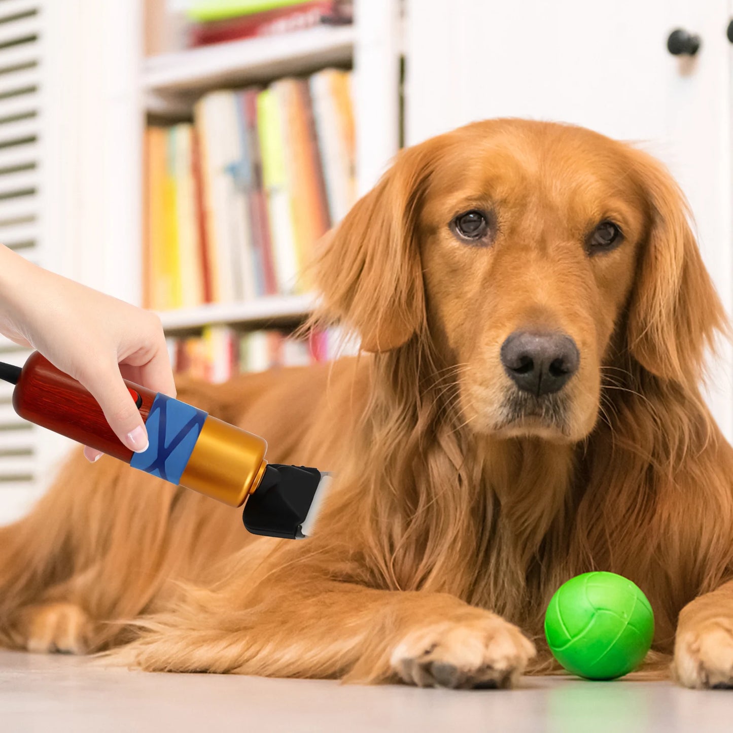 Low Noise Pet Hair Clipper With High Efficiency Motor