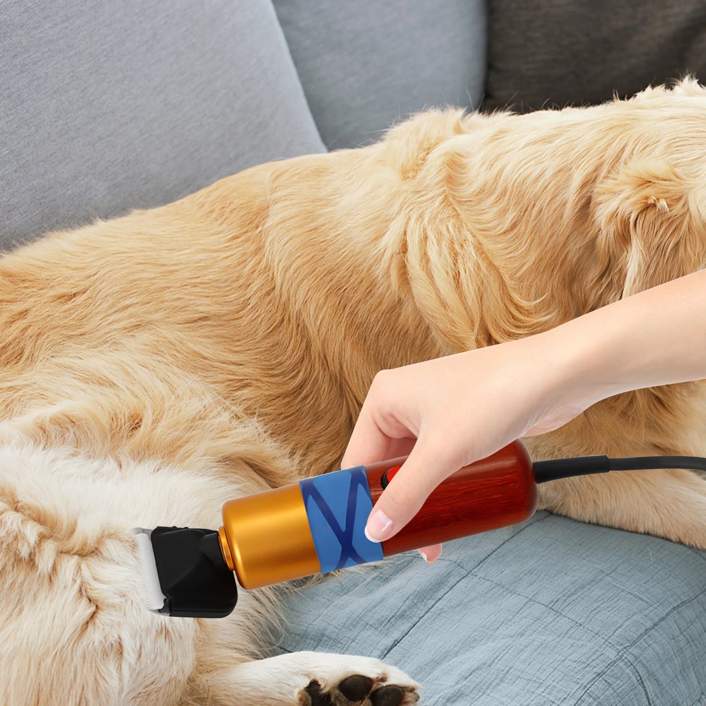 Low Noise Pet Hair Clipper With High Efficiency Motor