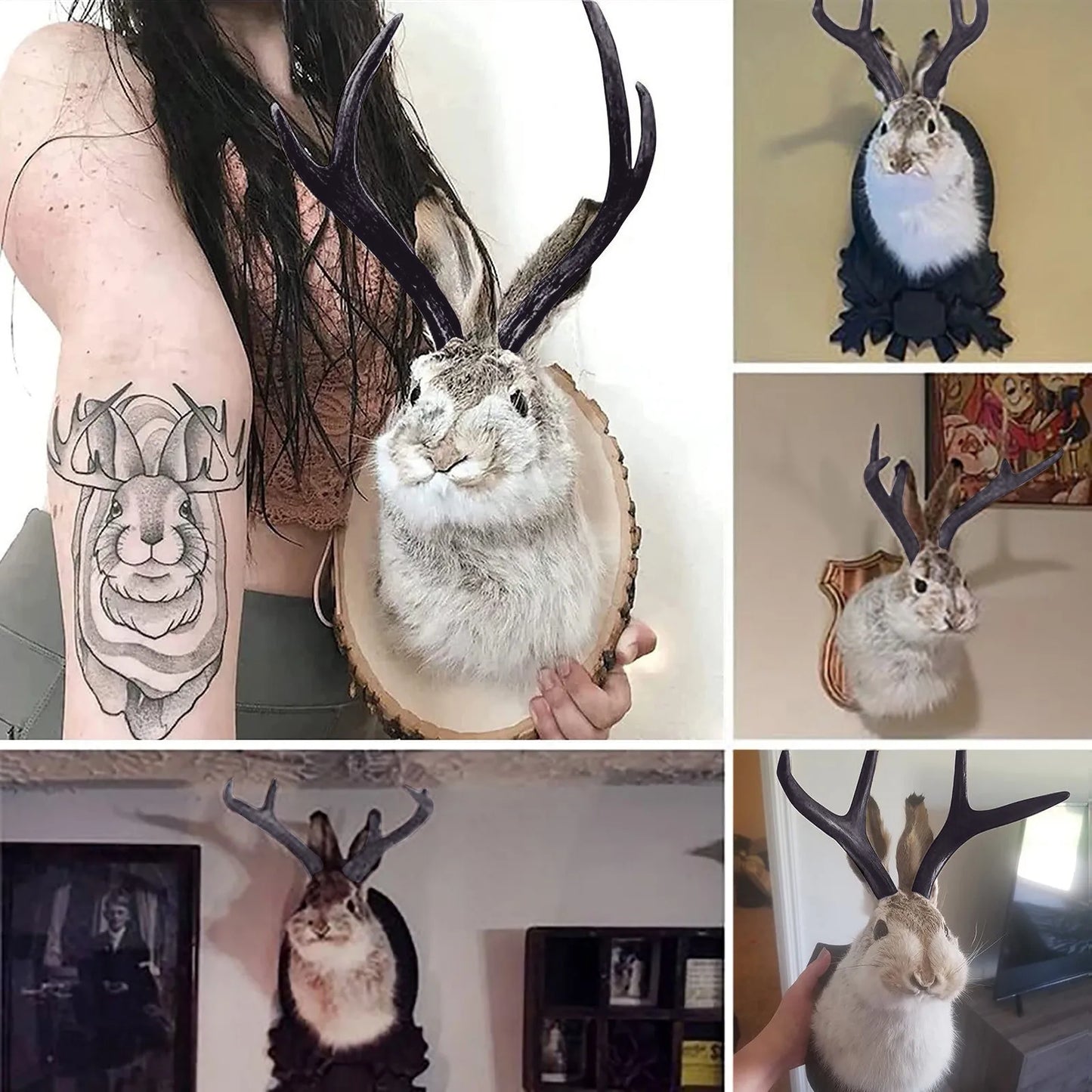 Resin Bunny Head Antlers Wall Decor Jackalope Ornament