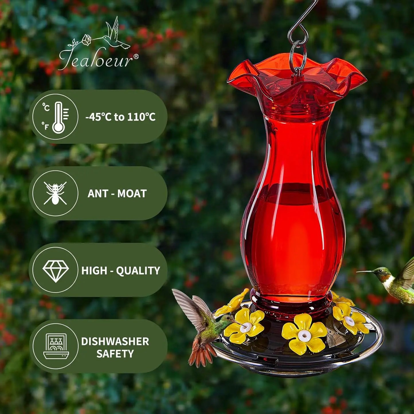 Hummingbird Feeder Hanging With Bee Guard Ports And Ant Moat
