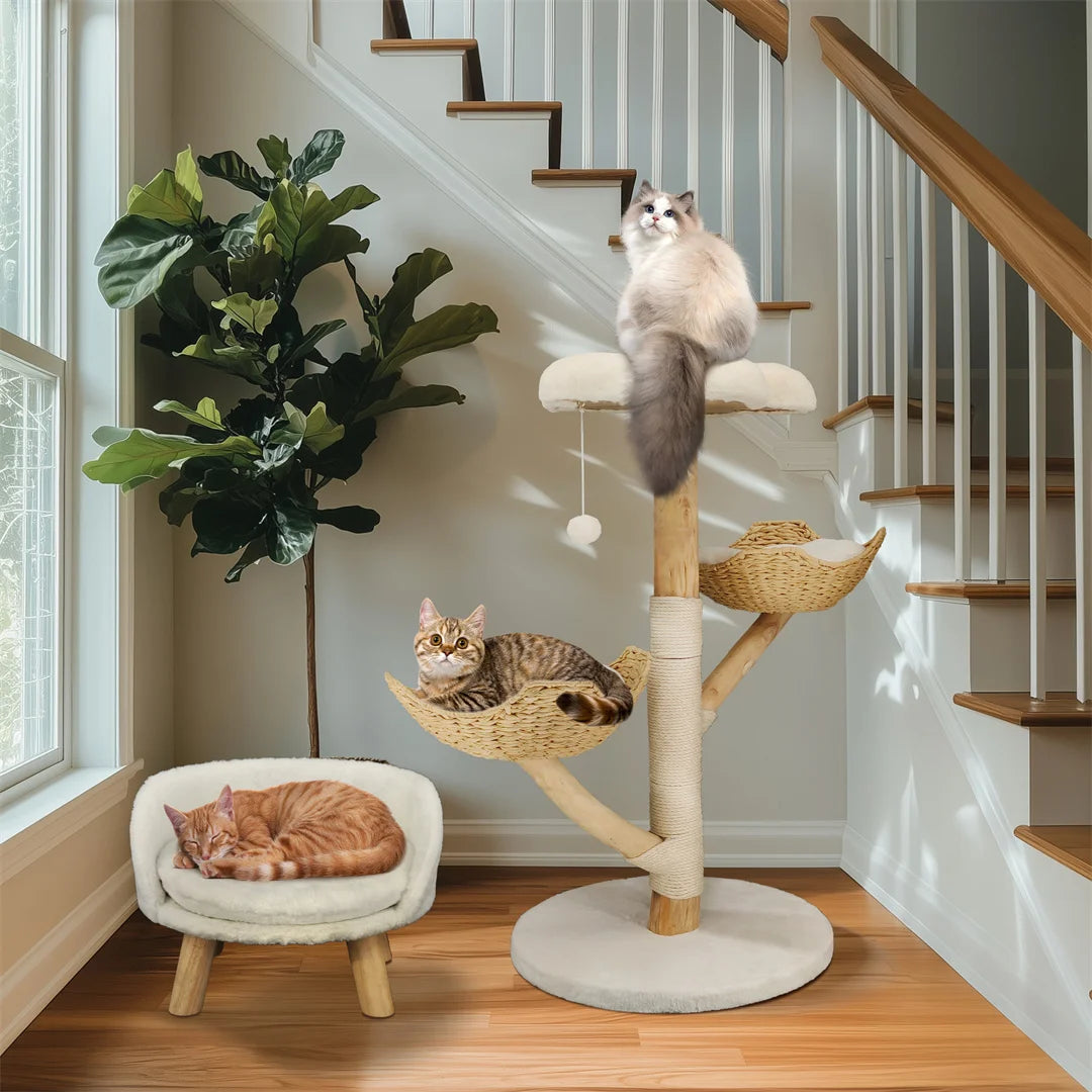 BINGOPAW Cat Furniture Climbing Tree Solid Wood Activity Center Scratching Post