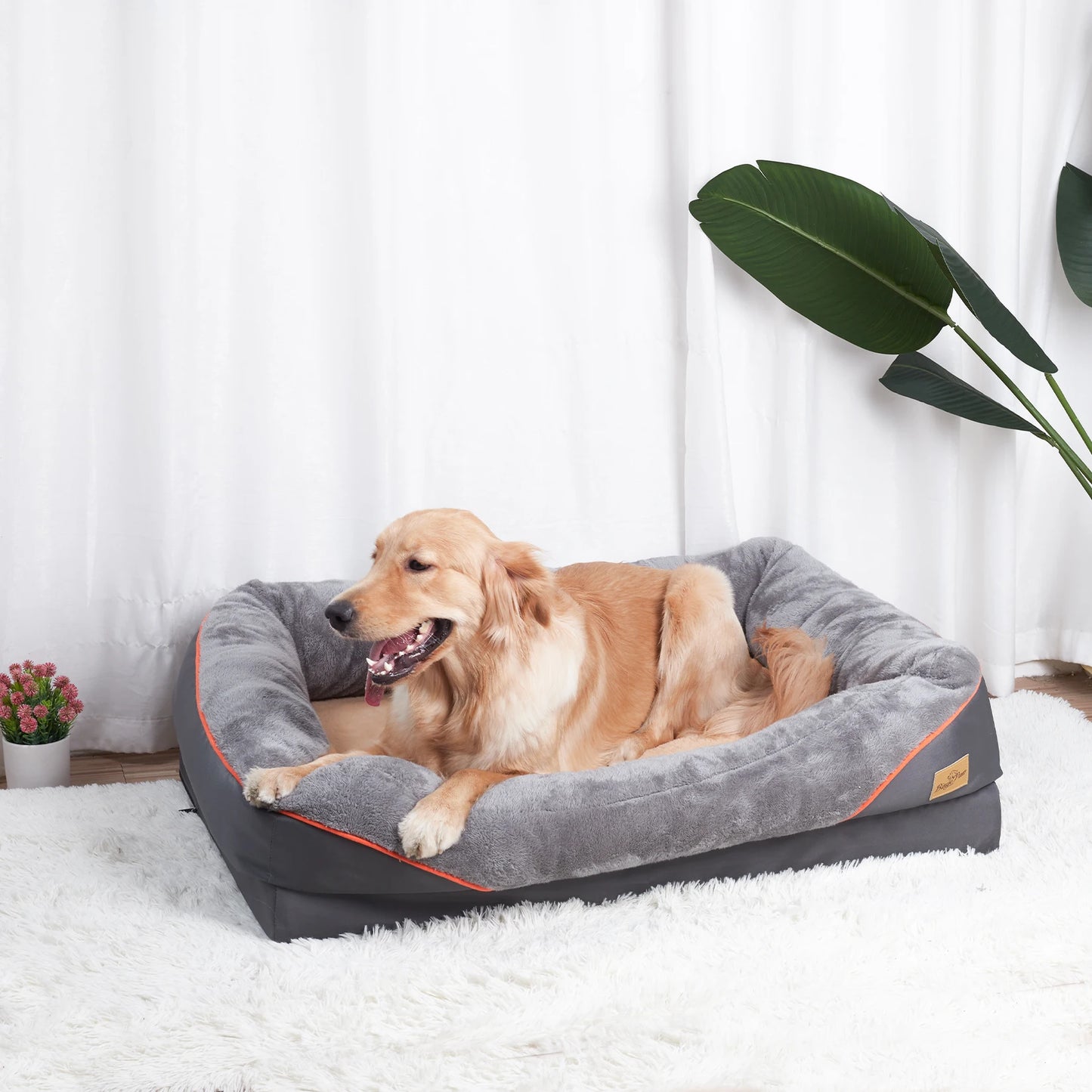 BINGOPAWCN Dog Bed With Washable Removable Cover Anti Allergy Waterproof
