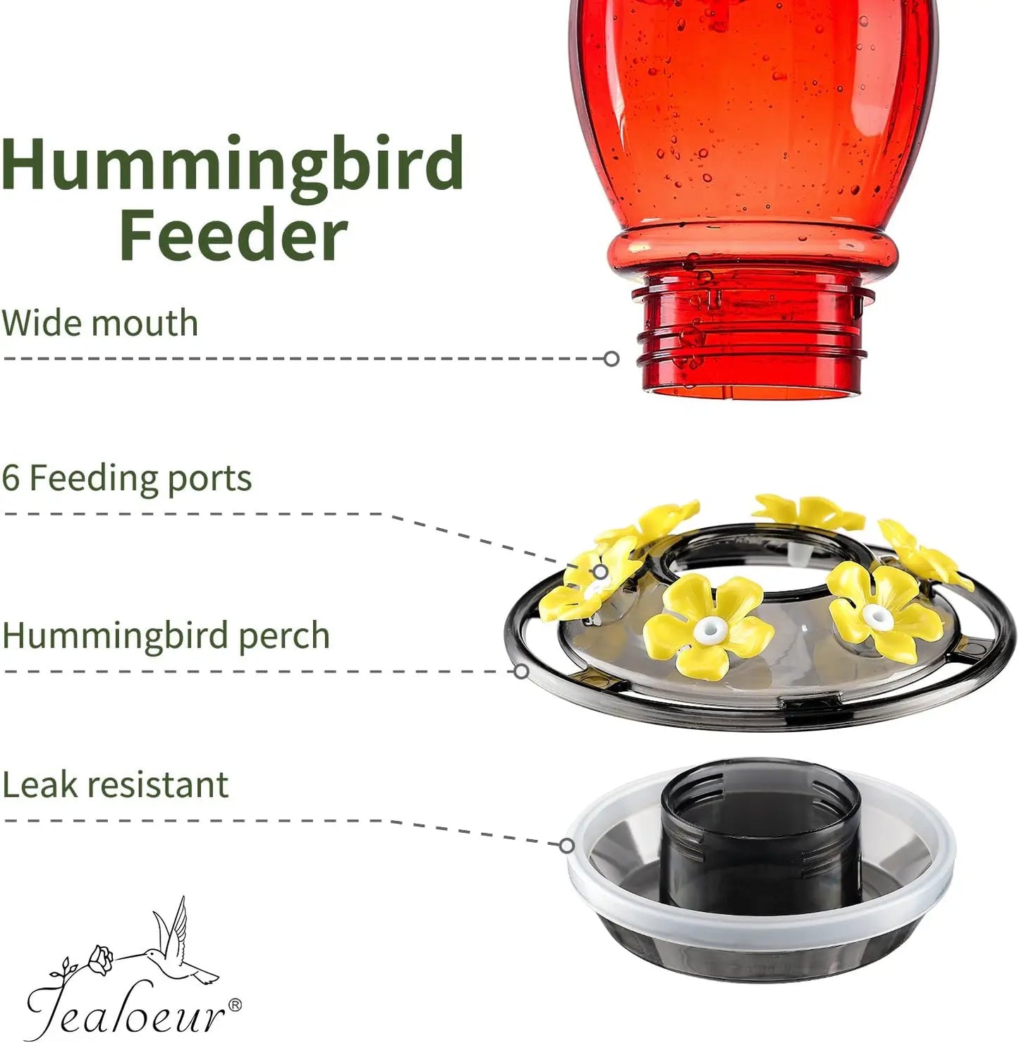Hummingbird Feeder Hanging With Bee Guard Ports And Ant Moat