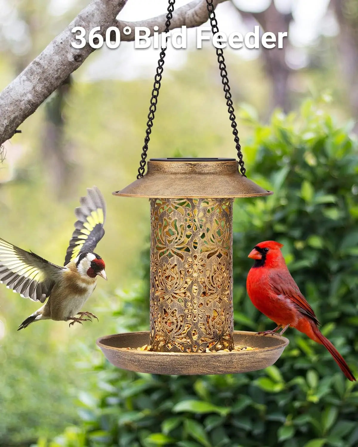 Solar Bird Feeder Outdoors Hanging Garden Lantern With S Hook